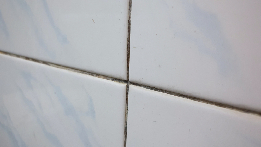 Black Green Mold in Grout
